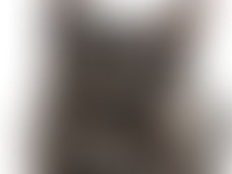 Arriva il freddo vero, pensiamo agli animali