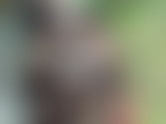 Almeno per lui il lockdown è finito: il gufo reale torna a volare