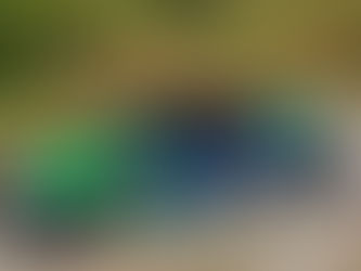 Farina quinto di classe al San Marino