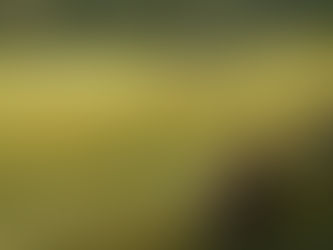 Borgo. Venerdì 22 aprile in biblioteca il libro di Marco Cazzanelli "La martora e il merlo"