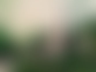 Pergine Valsugana. Da domani,6 agosto, l'Arte protagonista al Contemporary Art Festival