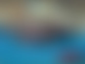 Corso di aggiornamento tecnici e giudici di ginnastica artistica con Tiziana di Pilato