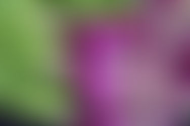 Spring Share 2023: Week 13