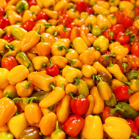 Summer Farm Share 2024: Week 15 - LAST WEEK