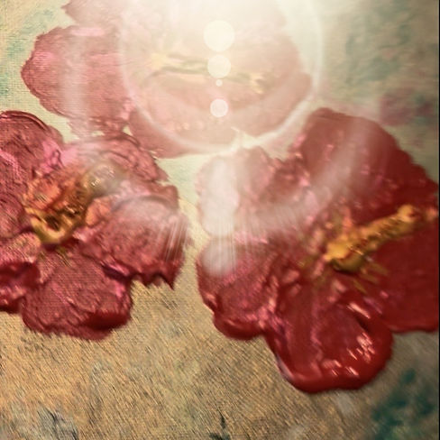 hibiscus_edited_edited.jpg