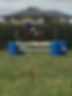 17239653_10209825191281422_5500376468613103836_o.jpg