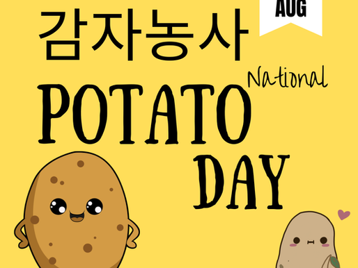 감자농사 어떻게 시작할까? 초보 농업인을 위한 감자 재배 방법과 수익성 총정리