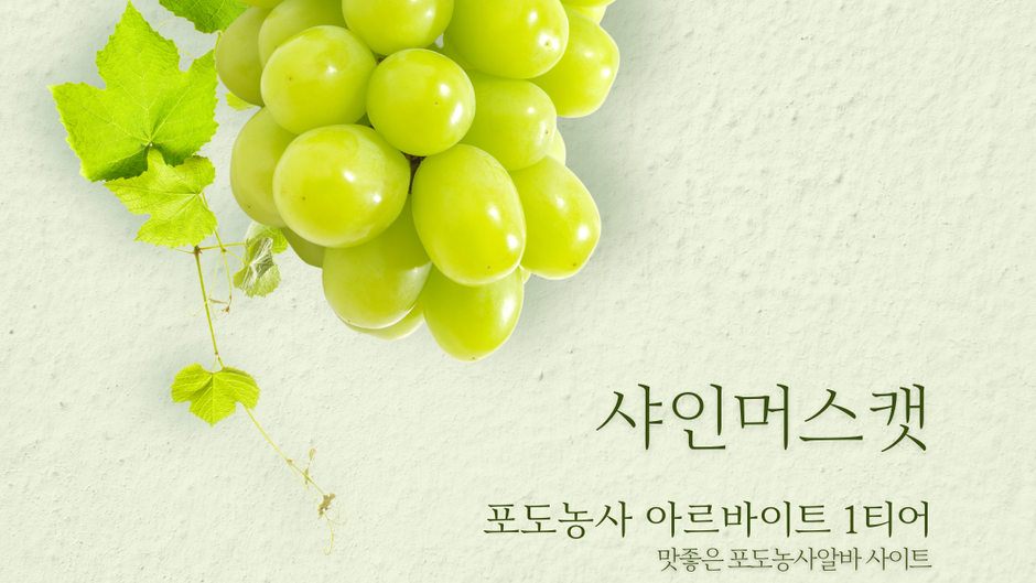 포도농사알바, 어떤 일을 할까?
