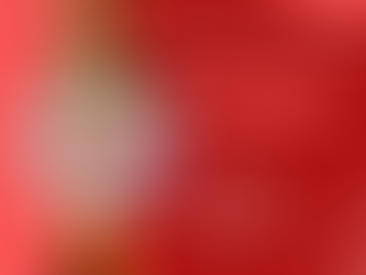 후기와 경험 공유