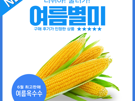 옥수수농사 어떻게 시작할까? 초보 농업인을 위한 옥수수 재배 방법과 수익성 총정리
