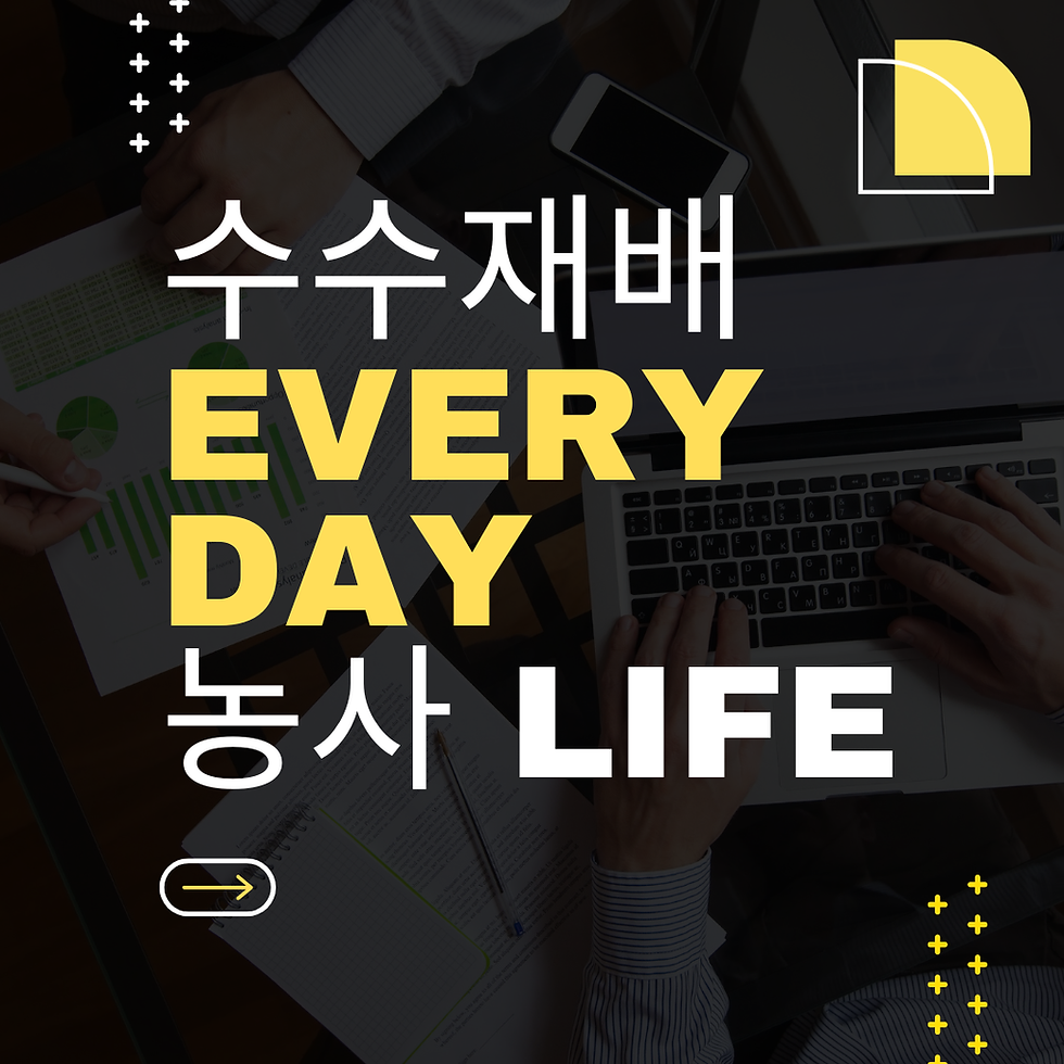 수수재배 알아보자