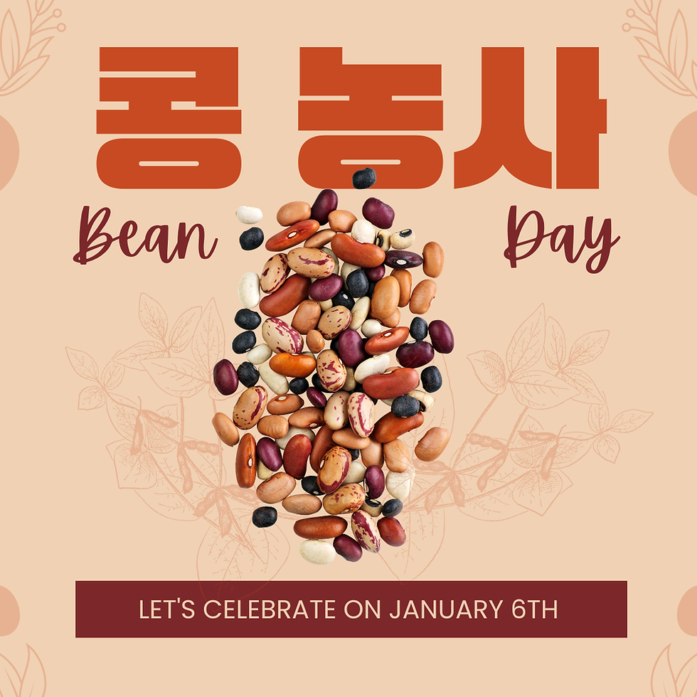 콩농사