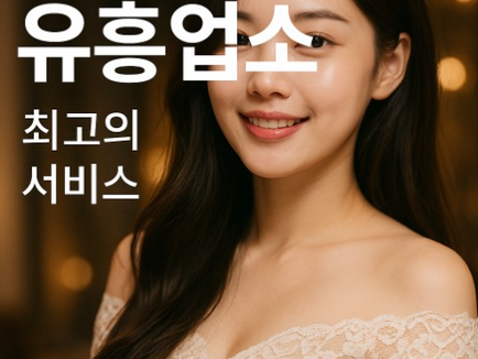 강남유흥알바 고수익 지역 가이드｜돈 많이 버는 곳은 어디일까?