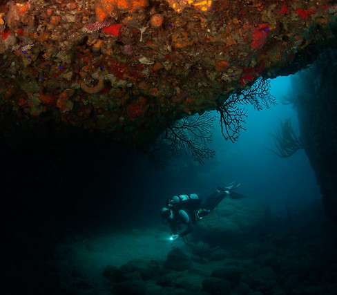 Saba's best dive sites