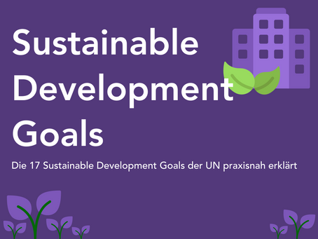 SDGs - Die 17 Sustainable Development Goals der UN praxisnah erklärt