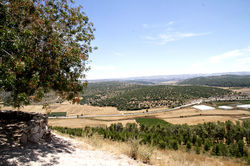 לעוף רחוק - 284.JPG