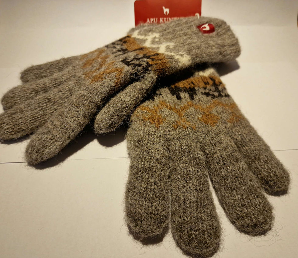 Miniaturbild: APU KUNTUR Fingerhandschuhe NATURA grau