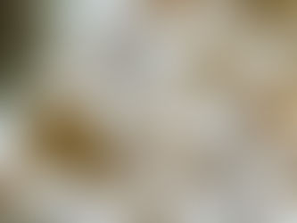 Pomalé Vánoce: méně shonu, více klidu