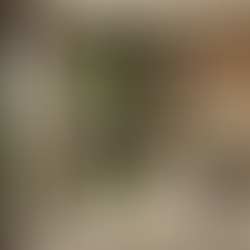 Moderní kuchyně s vertikální zahradou. Neutrální tóny, přirozené světlo, rostliny dodávají svěží atmosféru.