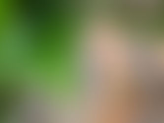 HOW TO RECOGNISE IF YOU ARE INSTITUTIONALISED AND WHAT TO DO ABOUT IT