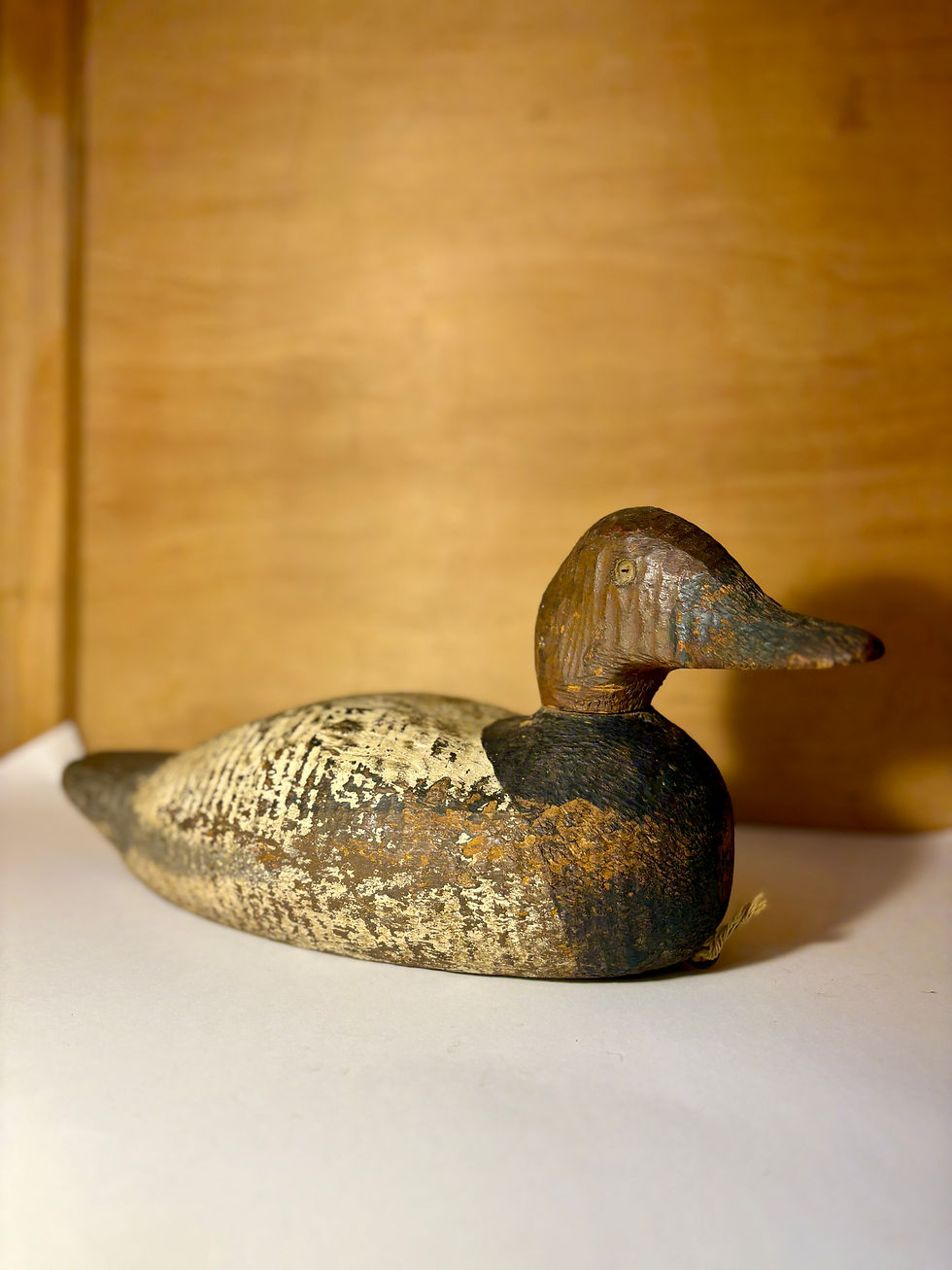Thumbnail: Canvasback Duck Decoy