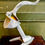 Thumbnail: Retro Citrus Press