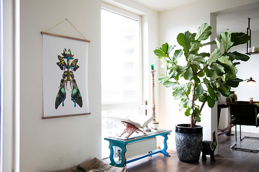 Cedric prints-4.jpg