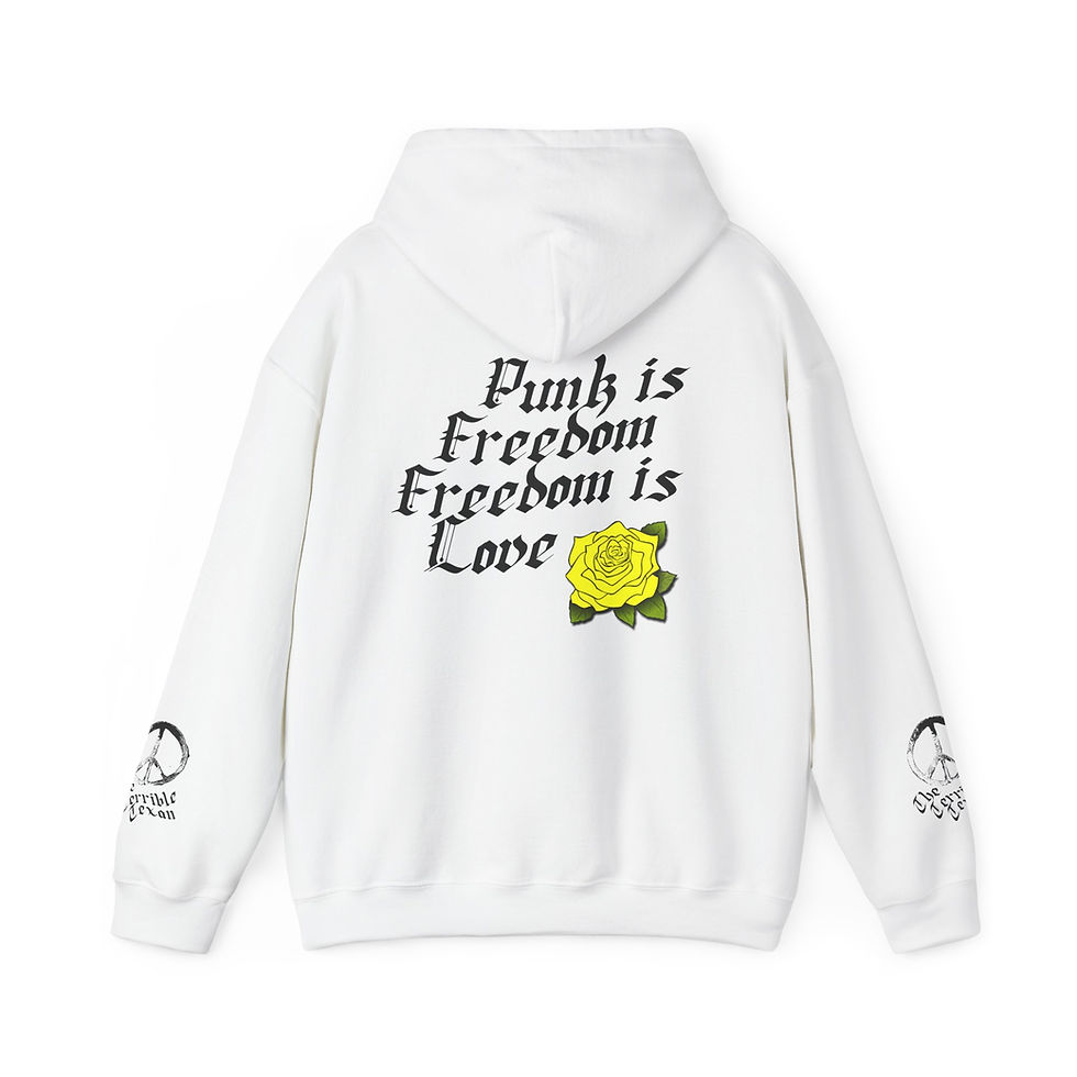 Thumbnail: Did You Remember the Alamo hoodie