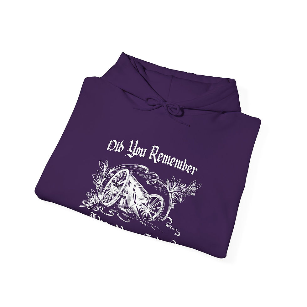 Thumbnail: Did You Remember the Alamo hoodie