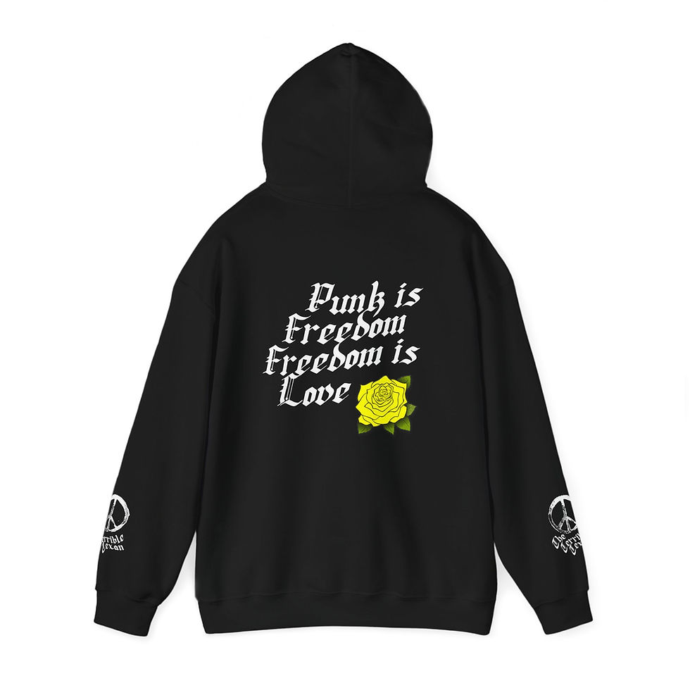 Thumbnail: Did You Remember the Alamo hoodie
