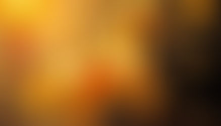 Happy Lunar New Year!