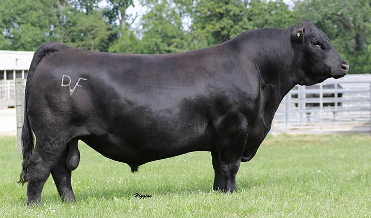 Deer Valley Growth Fund Sire