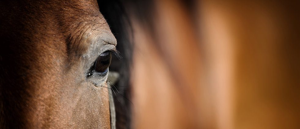 AdobeStock_67589520.jpeg