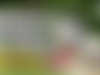 Entdecke die transformative Kraft von Hypnose für Reiter und wage den Schritt zu einem selbstbewussteren Reiterlebnis!