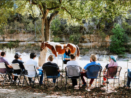 Transformative Leadership Development Programs for Developing Leadership Skills