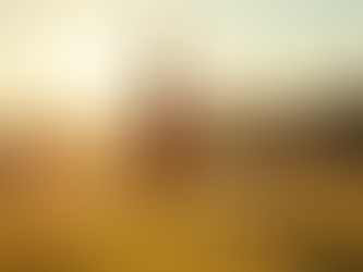 Boost Team Performance with Equine Team Building Benefits