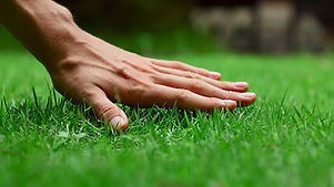 start-lawn-care-landscaping-business.jpg