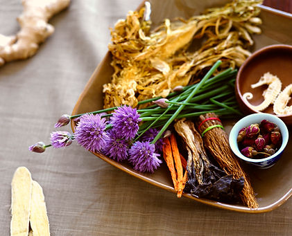 Inhaltsstoffe der pflanzlichen Medizin