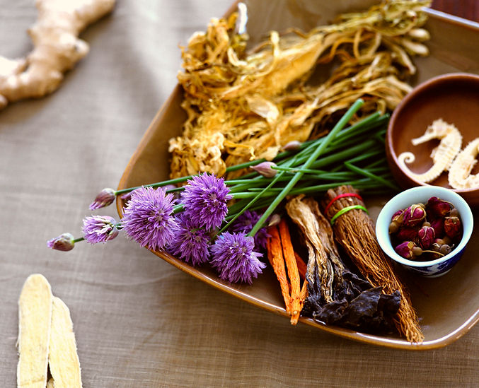 Herbal Medicine Ingredients