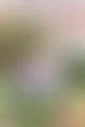 ECU senior sitting on Messick Theatre sign at East Carolina University campus.