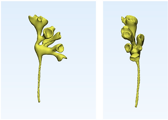 Screen Shot 2021-09-21 at 1.53.13 AM.png