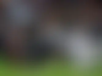 What Is Happening With The Ravens And Eagles? Two Super Bowl Hopefuls, In Very Different Scenarios, Look Lost