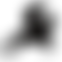 The Sugiyama logo which features a horse mid jump with wings