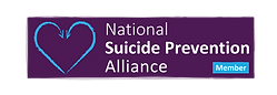 NSPA MEMBER.png