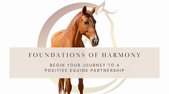Proposed Horsemanship for Harmony Graphics (12) (1).png
