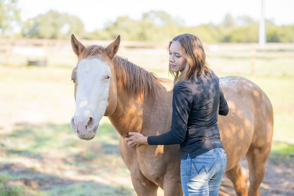 A woman in a black top gently pats a brown horse in a sunny field, with trees in the background. Both appear calm and relaxed.