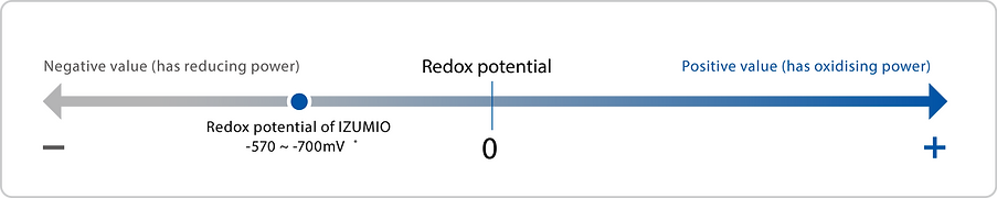 Asset 3@10x.png
