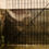 Thumbnail: Antique Copper Pan Interior Height View