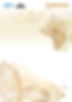 vertical version template 2026-02.jpg