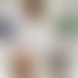 棚卸しセールが始まります。